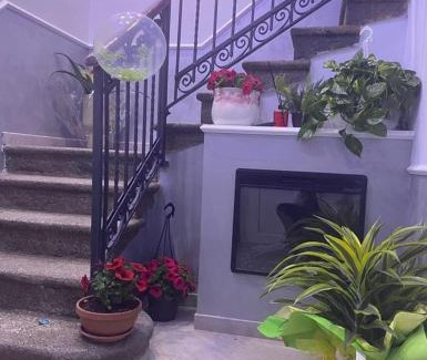 Camigliatello Bed & Breakfast | B&B Staziona e Dormi
