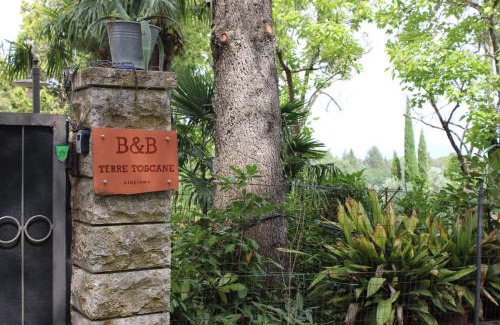 Ciggiano Apartment | B&B Terre Toscane