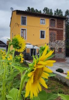 Capannori Bed & Breakfast | B&B Toringo