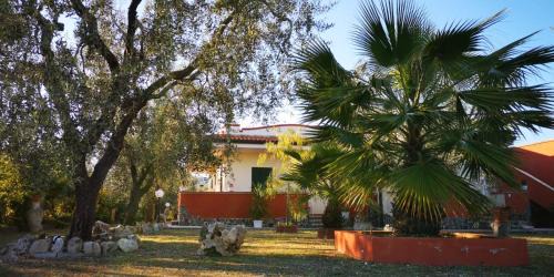 Mandrione Bed & Breakfast | B&B Uliveto del Gargano