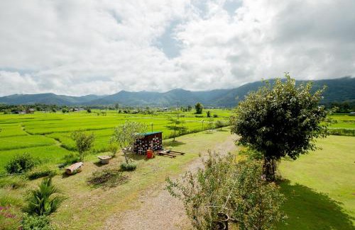 Pua House | Baan chomphu @Pua