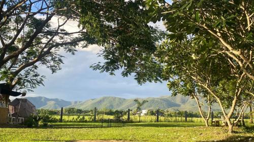 Choeng Doi House | Baan PhuriChaya Doi Saket Chiang Mai Peaceful Stay with Mountain and Rice Field View