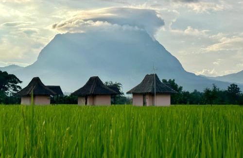 Chiang Dao House | Baan Porhdoi Goidao