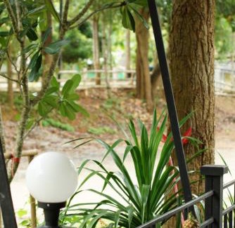 Than Thong Resort | Baan Rai Phufah Resort Chiangrai