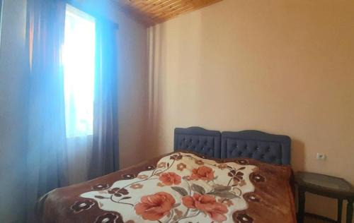 Salkhino House | BaBa guesthouse