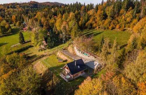 Zawoja Ski Chalet | Babiogórska Chata - dom z bali z jacuzzi i sauną