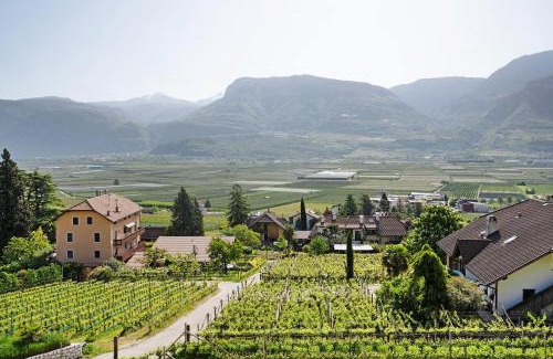 Tramin Apartment | Bacchushof Apartment Sauvignon