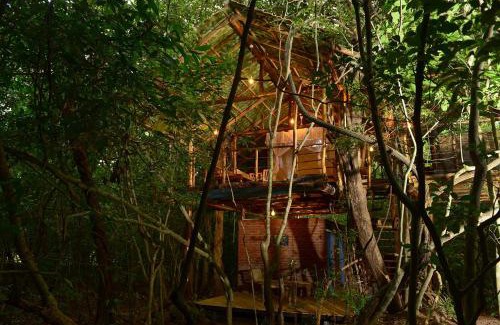 Sigiriya Cabin | Back of Beyond - Pidurangala