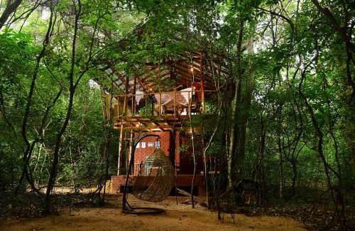 Sigiriya Cabin | Back of Beyond - Pidurangala