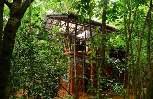 Sigiriya Cabin | Back of Beyond - Pidurangala