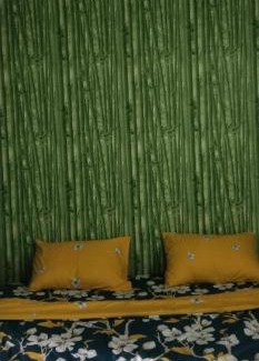Bukit Lawang House | Backpacker Lodge
