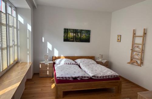 Oeblarn Apartment | Baderhaus Apartment Johann