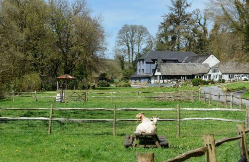 Dartmeet Apartment | Badgers Holt House