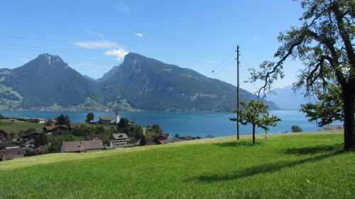 Faulensee Apartment | Bahnhöfli Faulensee