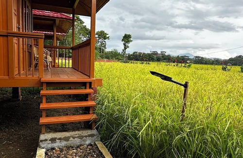Rantepao Cabin | Bait Lino