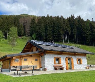 Pieve Tesino Ski Chalet | BAITA ELIO - 022142-AT-010446