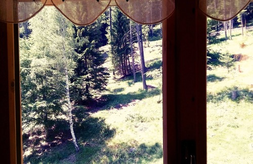 Altavalle Cabin | Baita Val Piomban: an unforgettable experience in a real mountain lodge