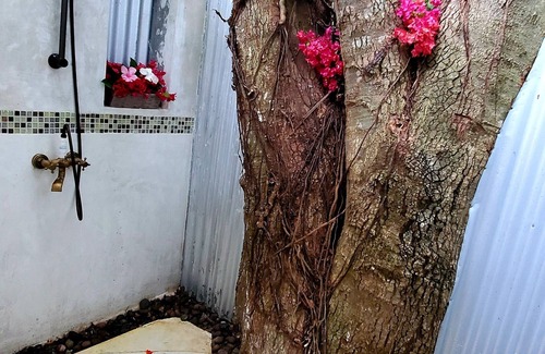 West End Cottage | Bak A Yaad Eye Catching Cottage
