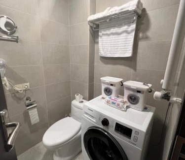 Bakuriani Apartment | bakuriani Crystal Loft A 210