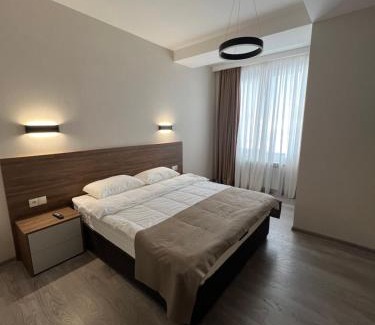 Bakuriani Apartment | bakuriani Crystal Loft A 210