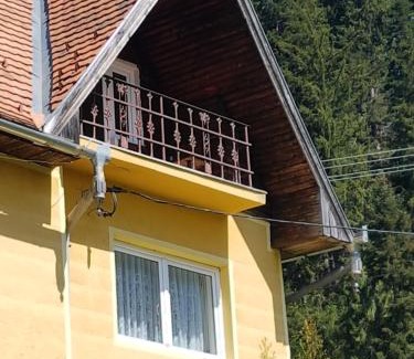 Baile Tusnad Apartment | Balázs Holiday Apartment