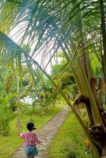 Bayan Hotel | Balé Sebaya - Bungalows Café Nature