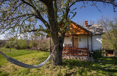 Szolosgyorok House | Balatoni Présházikó