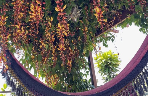 Mercedes House | Bali Dream View, Total Privacy, Pool, Wifi, 30 min to Beach/Waterfall/Ziplining