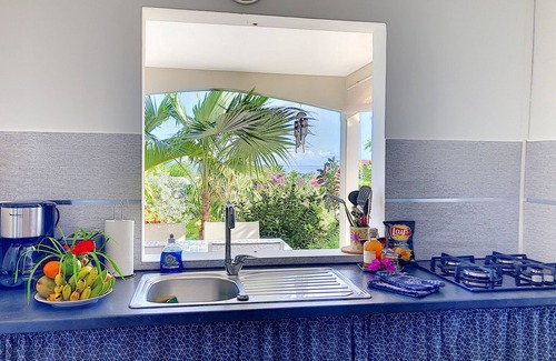 Sainte-Anne Apartment | Balisier Villa Malaka Sainte-Anne/Large studio3* (3 pers)