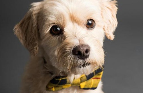 Ballina Hotel | Ballina Homestead Motel