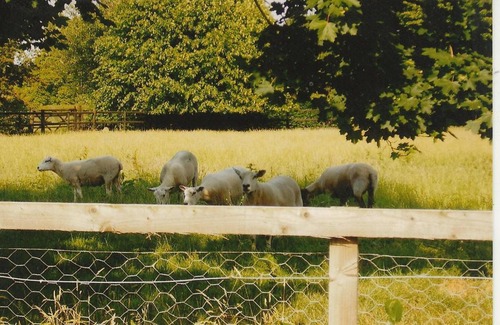 Crewe Apartment | Bank Farm Cottages