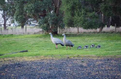 Newhaven Bed & Breakfast | Banksia Park Estate