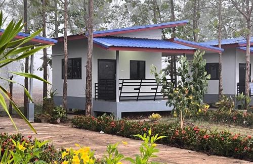Dok Khamtai House | Banromsak resort - บ้านร่มสักรีสอร์ต