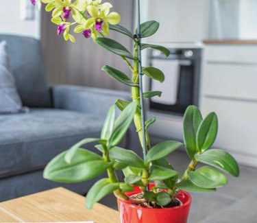 Sinkingen Apartment | Bantlehof