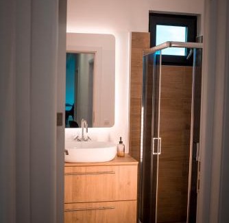 Tartasesti Villa | Banya Villa Bucuresti sauna jacuzzi piscina spa