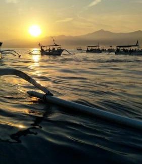 Lovina Apartment | Barclona Guesthouses Lovina