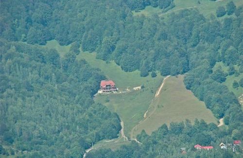 Lepsa House | Barlogul Ursilor Lepsa