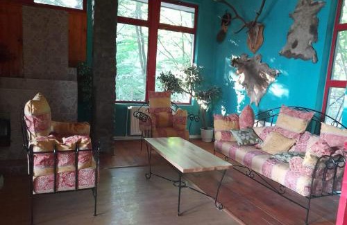 Lepsa House | Barlogul Ursilor Lepsa