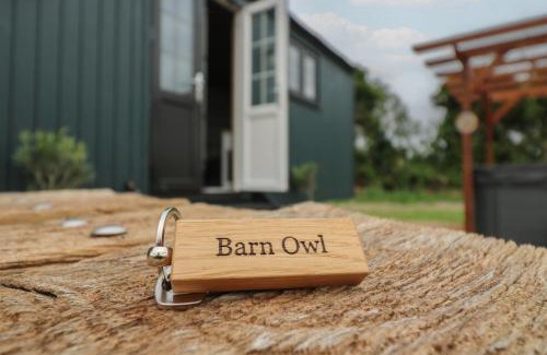 Cambridge House | Barn Owl