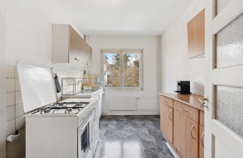 Seebach Apartment | Basic 2BR Apartment with Full Kitchen
