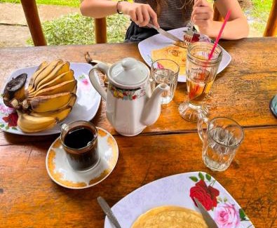Bohorok House | Batu Katak - Gibbon Guesthouse