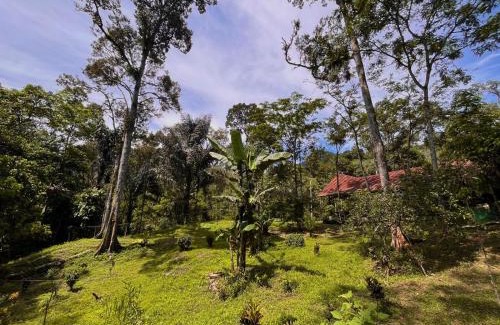 Bohorok Other | Batu Ridi Jungle