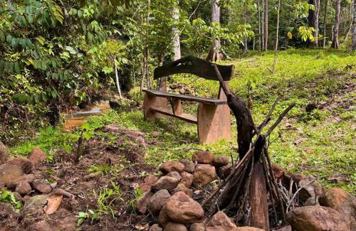 Bohorok Other | Batu Ridi Jungle