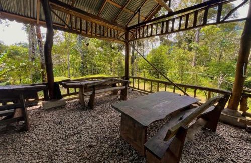 Bohorok Other | Batu Ridi Jungle
