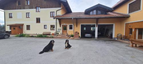 Koppl Apartment | Bauernhof-Loft Edtgut