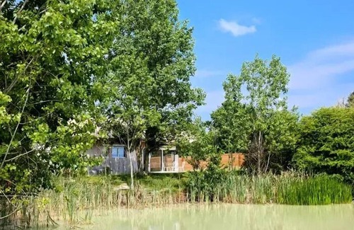 Dienne Cabin | Baumhaus 4 Personen