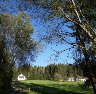 Regen Other | Baumzelt am Waldesrand