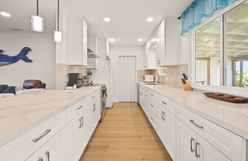 Bay Park House | Bay Park Garden Dream - Central Location, AC, Washer/Dryer & Private Yard!
