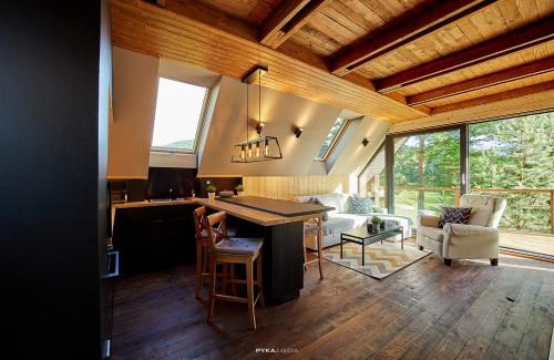 Bielsko-Biala House | Baza Beskid, - Gorąca Bania, Basen, Ogród, Góry