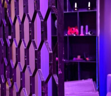 Lodz Apartment | BDSM SWING KLIMA Apartamenty Lustra super wygodne łóżko , huśtawka ,dla dorosłych ADULTS ONLY